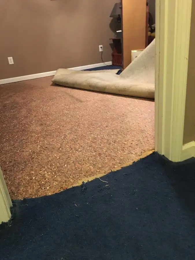 Carpet pad removal revealing water damage during Drying & Dehumidification in Uvalde